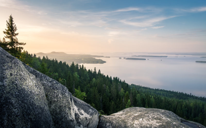 Järvi- ja metsämaisema Kolin kansallispuistossa