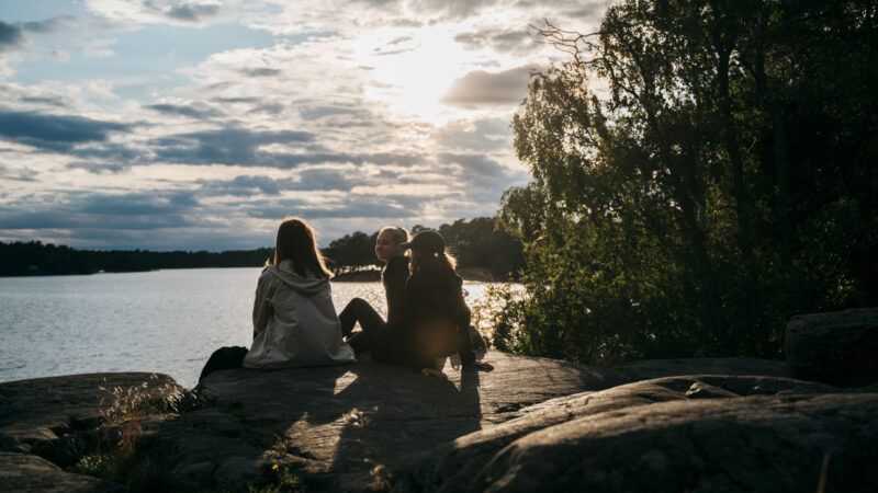 Nuoria kalliolla veden äärellä, Joutsenmerkin kuvituskuva